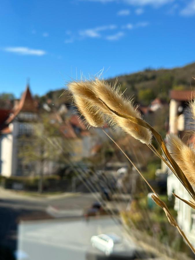 Appartement Turm.Blick à Goslar Extérieur photo